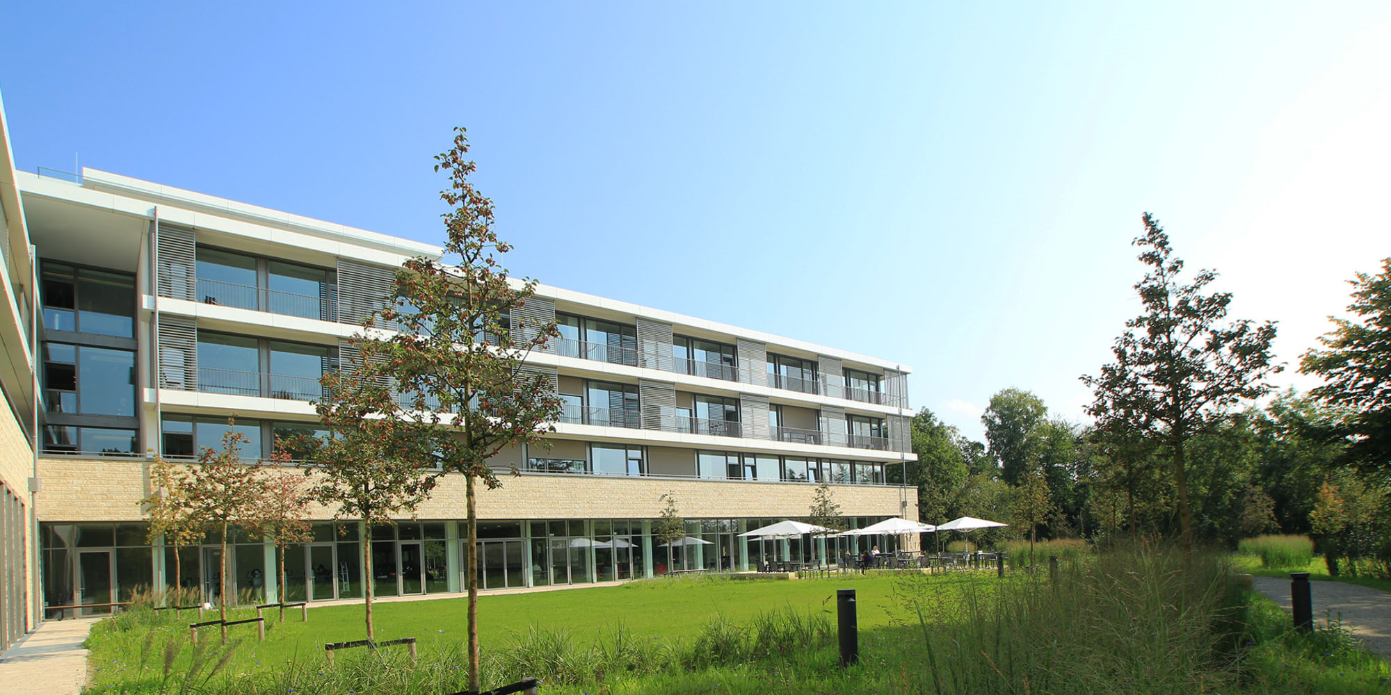 The 15 Best Office Chairs intelligence overview